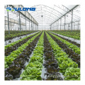 Tuyaux en PVC hydroponique NFT agricole